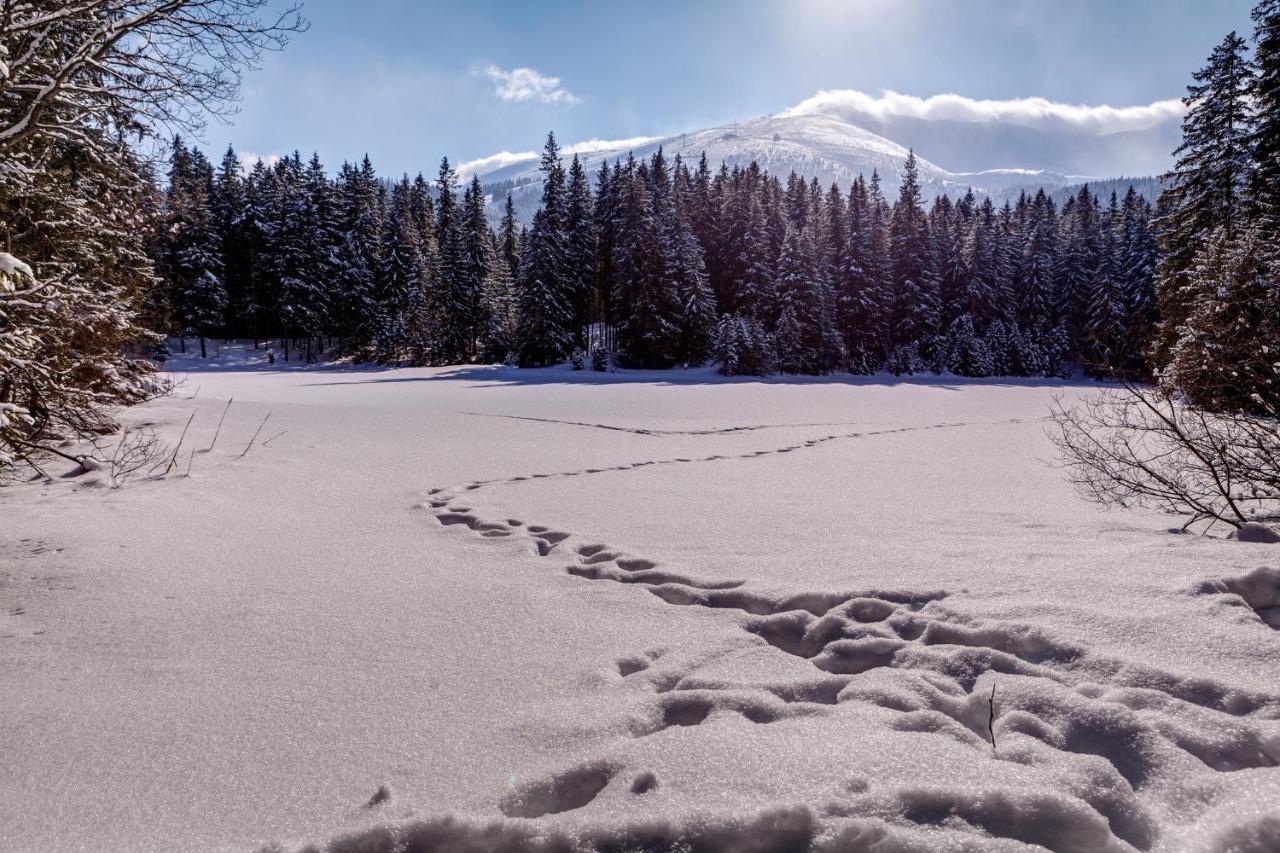 Chata Nella - Jasna Demänovská Dolina Exterior foto